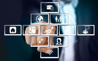 上海互联网软件集团 引领高端协同管理软件与咨询服务新纪元